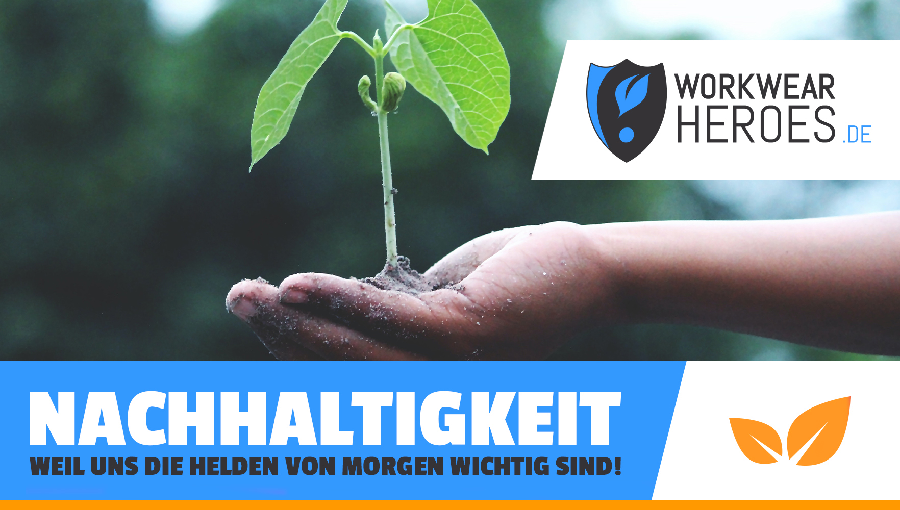 Eine offene Hand mit Erde aus der ein Sprössling wächst.